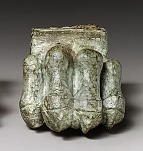 Bronze lion paw by Unknown Artist