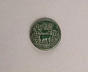 Bronze sestertius of Titus by Unknown Artist