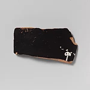 Calyx-krater, fragments by Unknown Artist