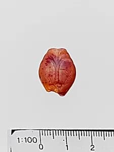 Carnelian amygdaloid seal by Unknown Artist