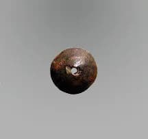 Disk by Unknown Artist