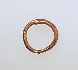 Earring or spiral by Unknown Artist