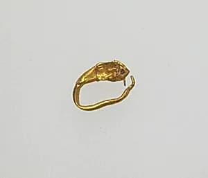 Earring with head of lion by Unknown Artist