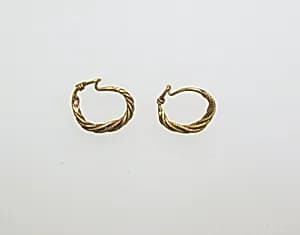 Earrings by Unknown Artist