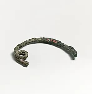 Fibula by Unknown Artist