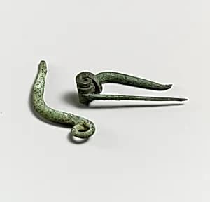 Fibula by Unknown Artist