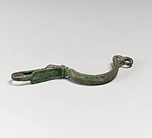 Fibula by Unknown Artist