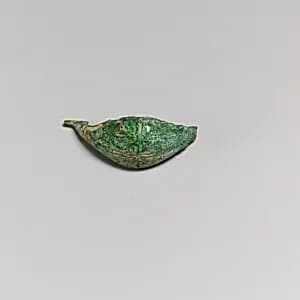 Fibula by Unknown Artist