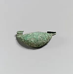 Fibula by Unknown Artist