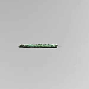 Fibula by Unknown Artist