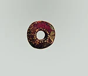 Fibula, fragment by Unknown Artist
