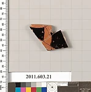 Fragment of a terracotta kylix by Unknown Artist