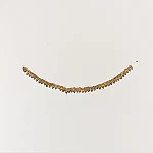 Gilt terracotta necklace by Unknown Artist