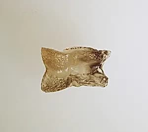 Glass astragal (knucklebone) by Unknown Artist