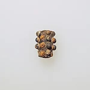 Glass bead with knobs by Unknown Artist