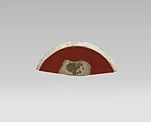 Glass monocrome dish fragment by Unknown Artist
