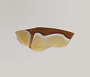 Glass mosaic bowl fragment by Unknown Artist