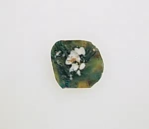 Glass mosaic bowl fragment by Unknown Artist