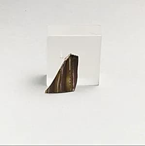 Glass mosaic bowl fragment by Unknown Artist