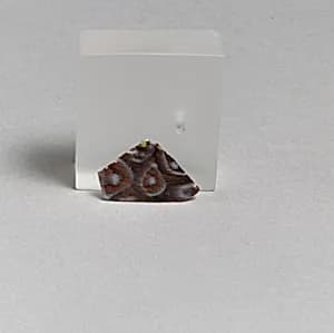 Glass mosaic fragment by Unknown Artist