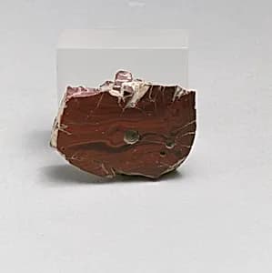 Glass mosaic fragment by Unknown Artist