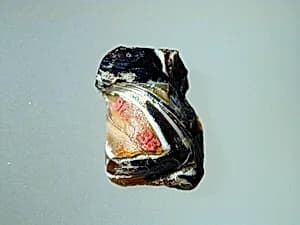 Glass mosaic fragment by Unknown Artist
