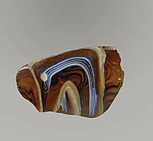 Glass mosaic ribbed bowl fragment by Unknown Artist