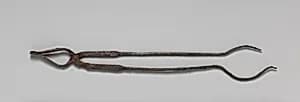 Iron fire-tongs by Unknown Artist
