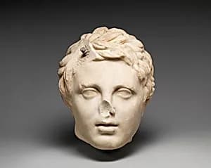 Marble head of a boy by Unknown Artist