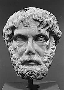 Marble head of a man by Unknown Artist