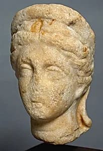 Marble head of a woman by Unknown Artist
