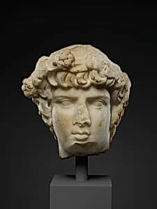 Marble portrait head of Antinoos by Unknown Artist