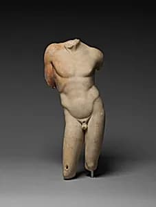 Marble torso of a boy by Unknown Artist