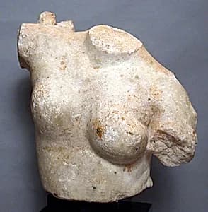 Marble torso of Aphrodite by Unknown Artist