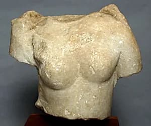 Marble torso of Aphrodite by Unknown Artist