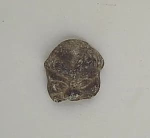 Mask of a satyr by Unknown Artist