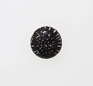 Millefiori pinhead by Unknown Artist