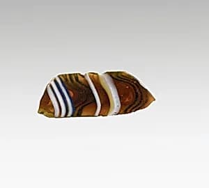 Mosaic glass ribbed bowl fragment by Unknown Artist