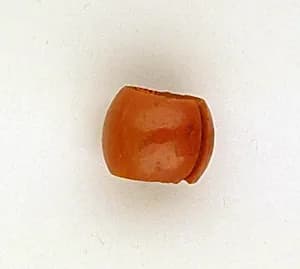 Pair of red jasper earrings by Unknown Artist