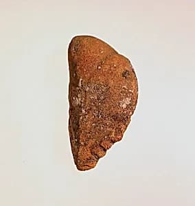 Pendant: head of a woman by Unknown Artist