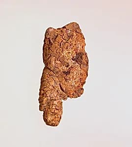 Pendant: head of a woman by Unknown Artist