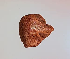 Pendant: head of a woman by Unknown Artist