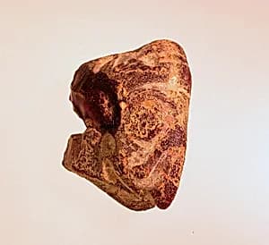 Pendant: satyr's head by Unknown Artist