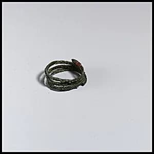 Ring by Unknown Artist
