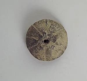 Roundel, disk by Unknown Artist