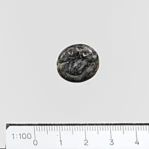 Seal by Unknown Artist