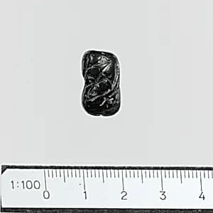 Seal by Unknown Artist