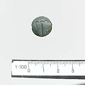 Seal by Unknown Artist