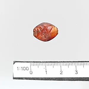 Seal by Unknown Artist