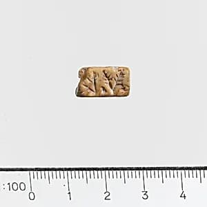 Seal with hole by Unknown Artist